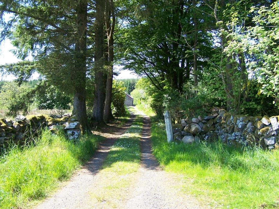 Ochiltree Cottage Newton Stewart Buitenkant foto